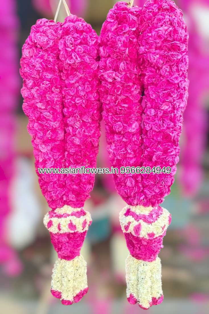 VIP welcome Garland (26)