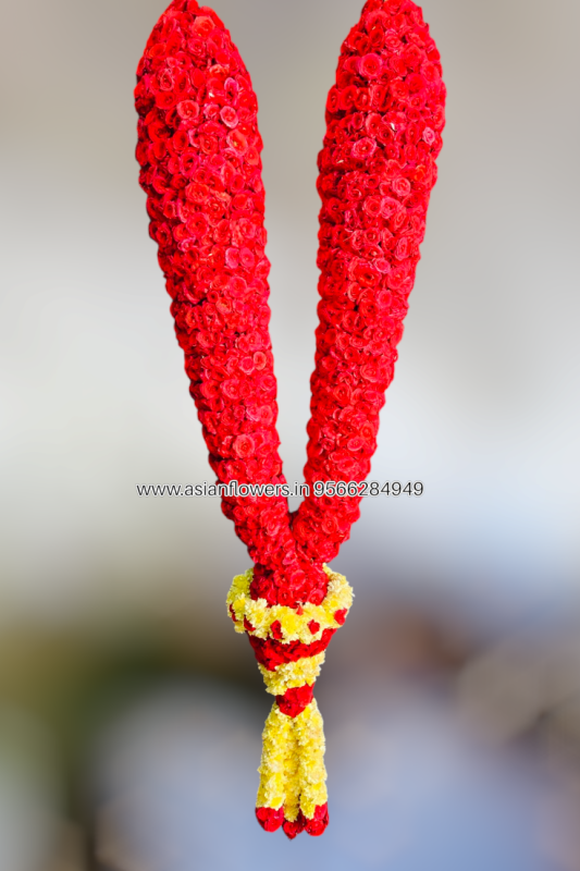 VIP welcome Garland (25)