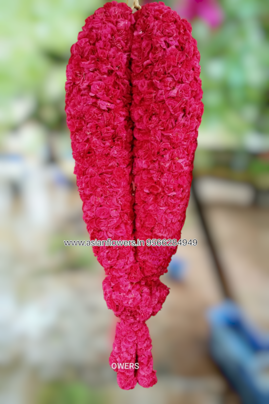 VIP welcome Garland (27)