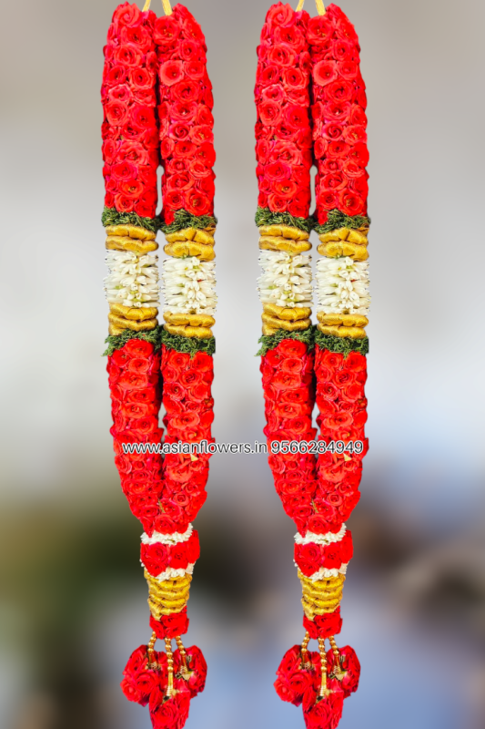Mirabel Rose, with tuberose Garland (33)
