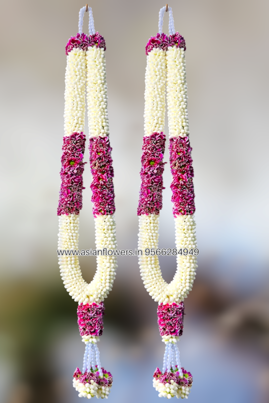 Pinwheel,Chrysanthemum Garland (44)