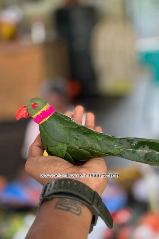 Leaf Parrot (69)