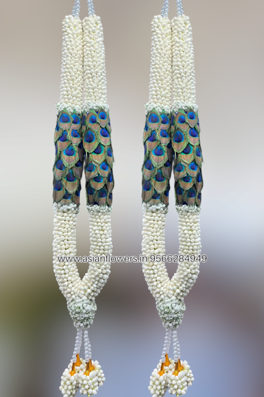 Peacock feather with pinwheel garland (100)
