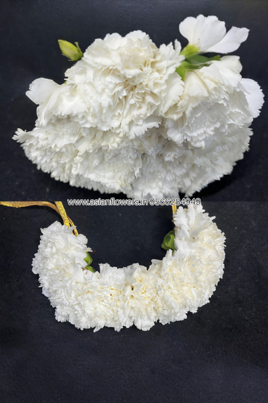 White carnation Braids (169)