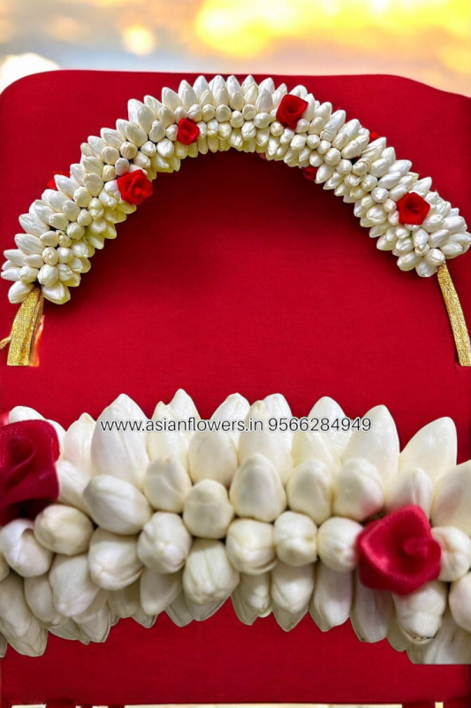 Jasmine braids/veni (179)