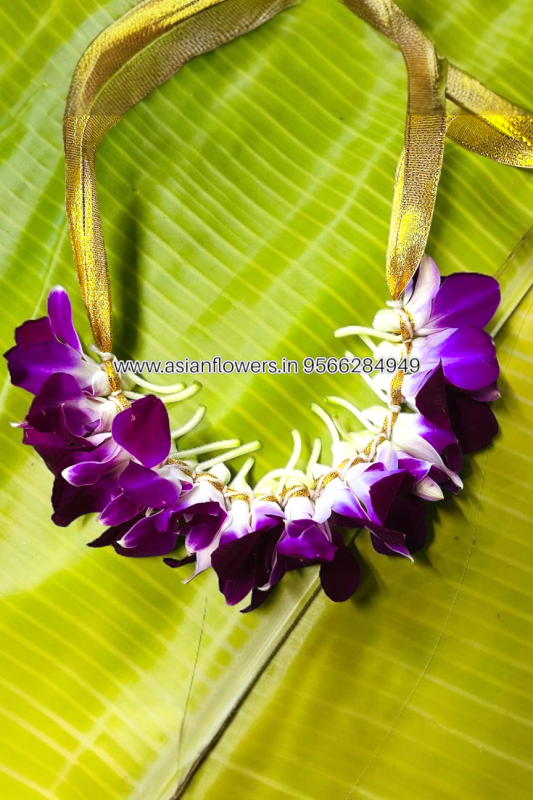 Orchid braids/veni (195)