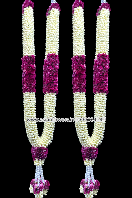 Pinwheel with Chrysanthemum Garland(60) 