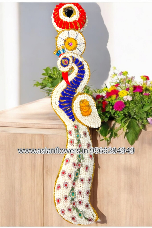 Jasmine peacock design braids/veni (248)