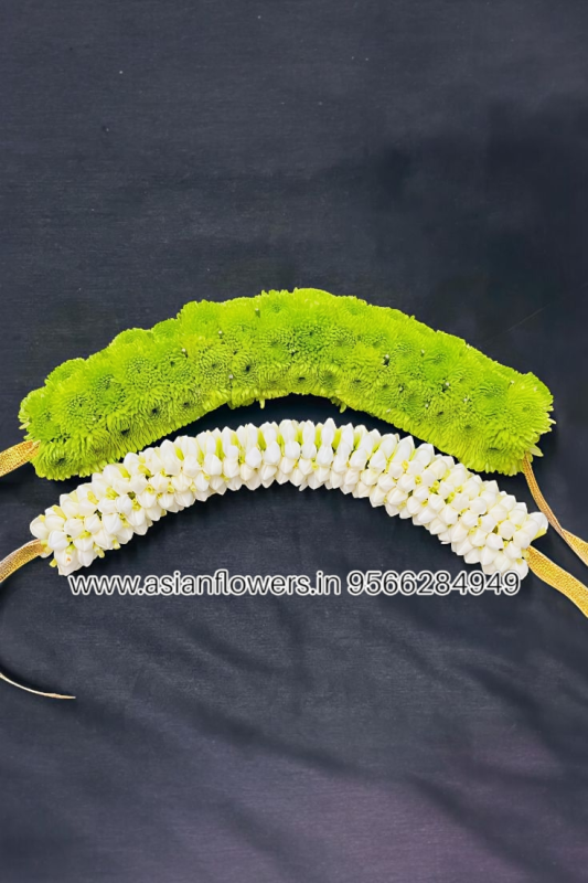 krisantham with white pinwheel braids/veni (253)