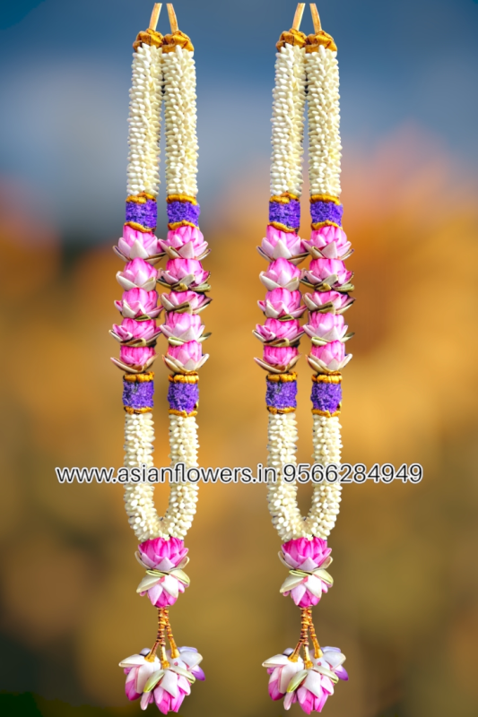 Blue Daisy, lotus with jasmine Garland (262)