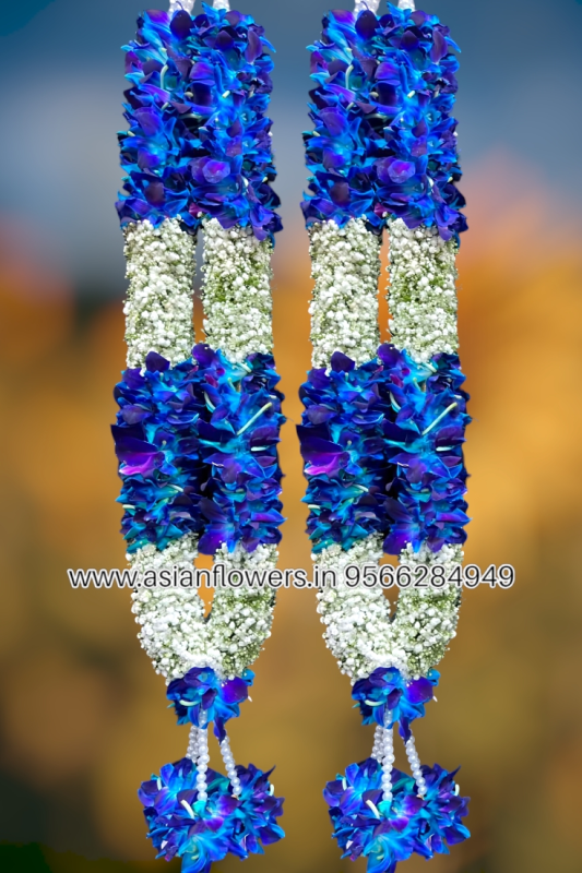 Dark purple orchid with gypsy Garland (271)