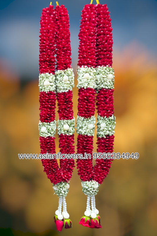 White pearl, gypsy with Red petal Garland (282)